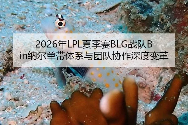 2026年LPL夏季赛BLG战队Bin纳尔单带体系与团队协作深度变革